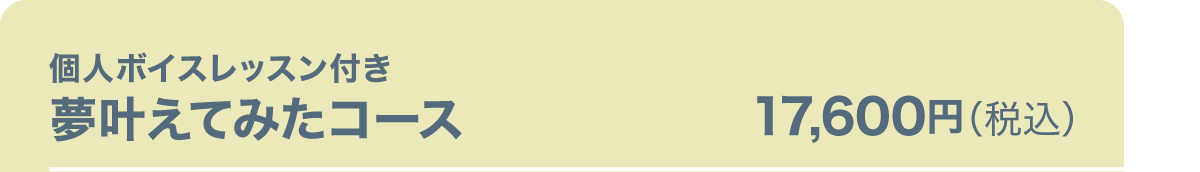 個人ボイスレッスン付き夢叶えてみたコース　17,600円（税込）
